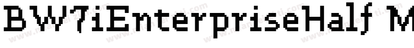 BW7iEnterpriseHalf M字体转换